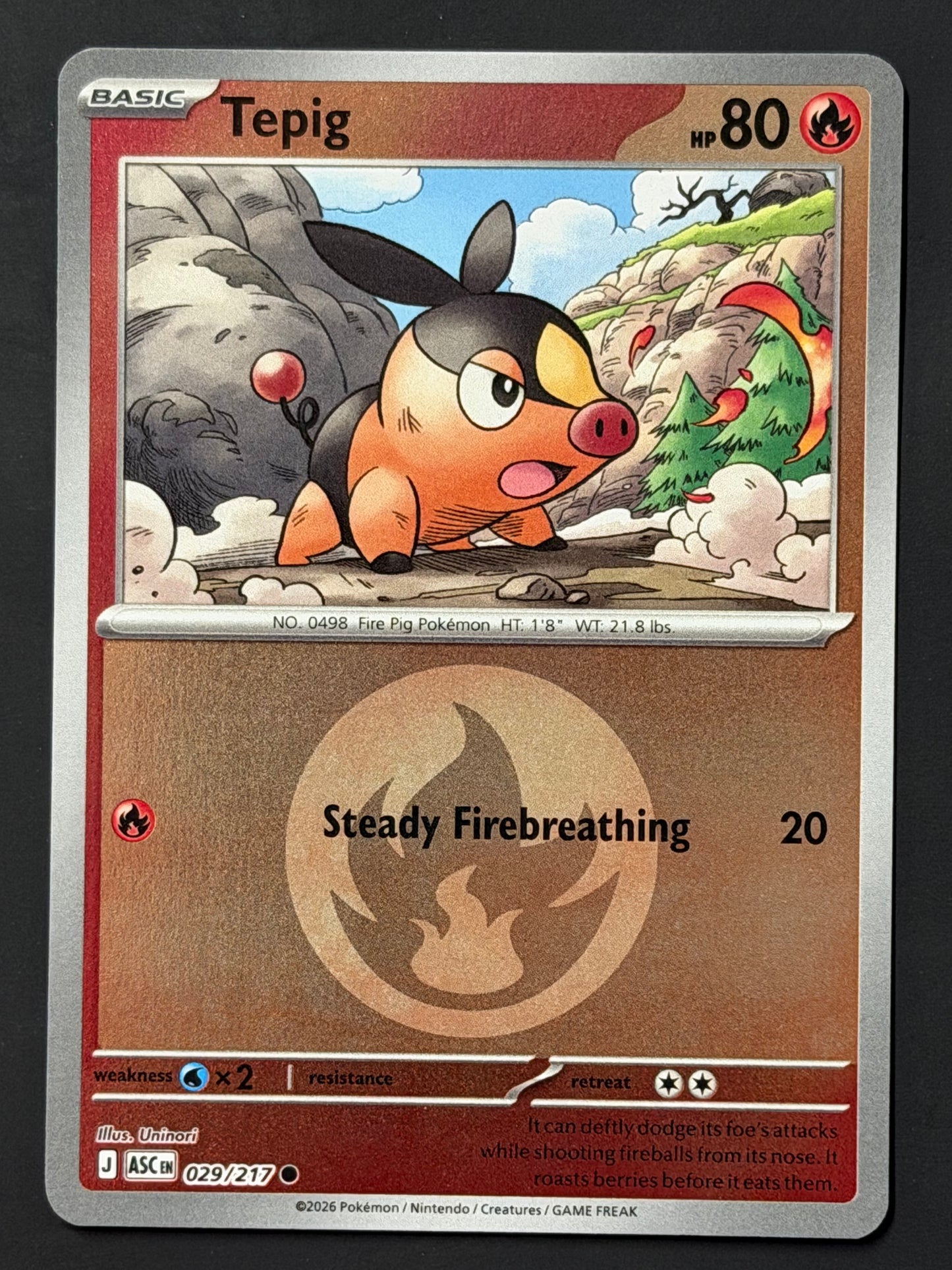029/217 Tepig - Pokémon Ascended Heroes Common Reverse