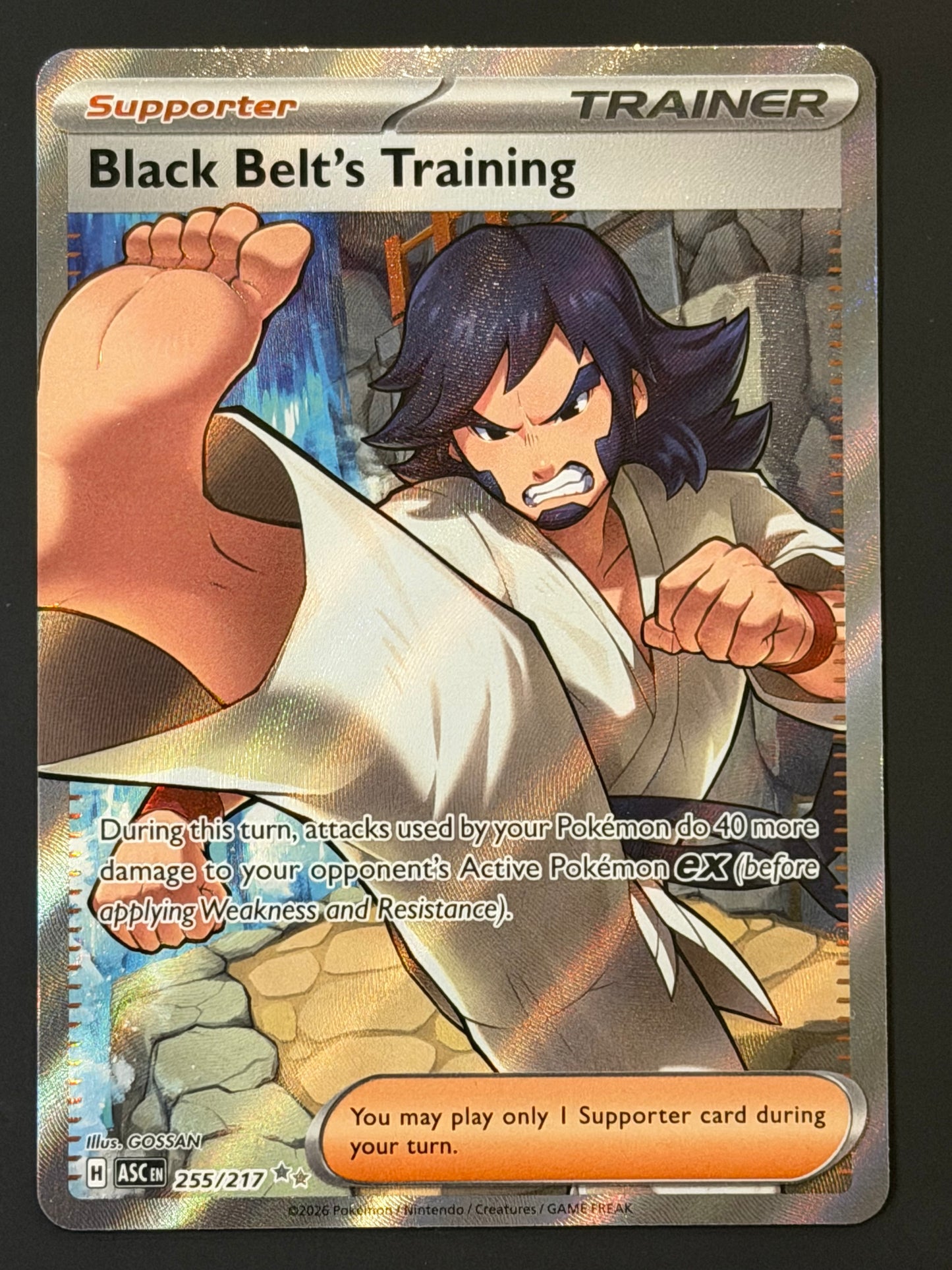 255/217 Black Belt’s Training - Pokémon Ascended Heroes Ultra Rare