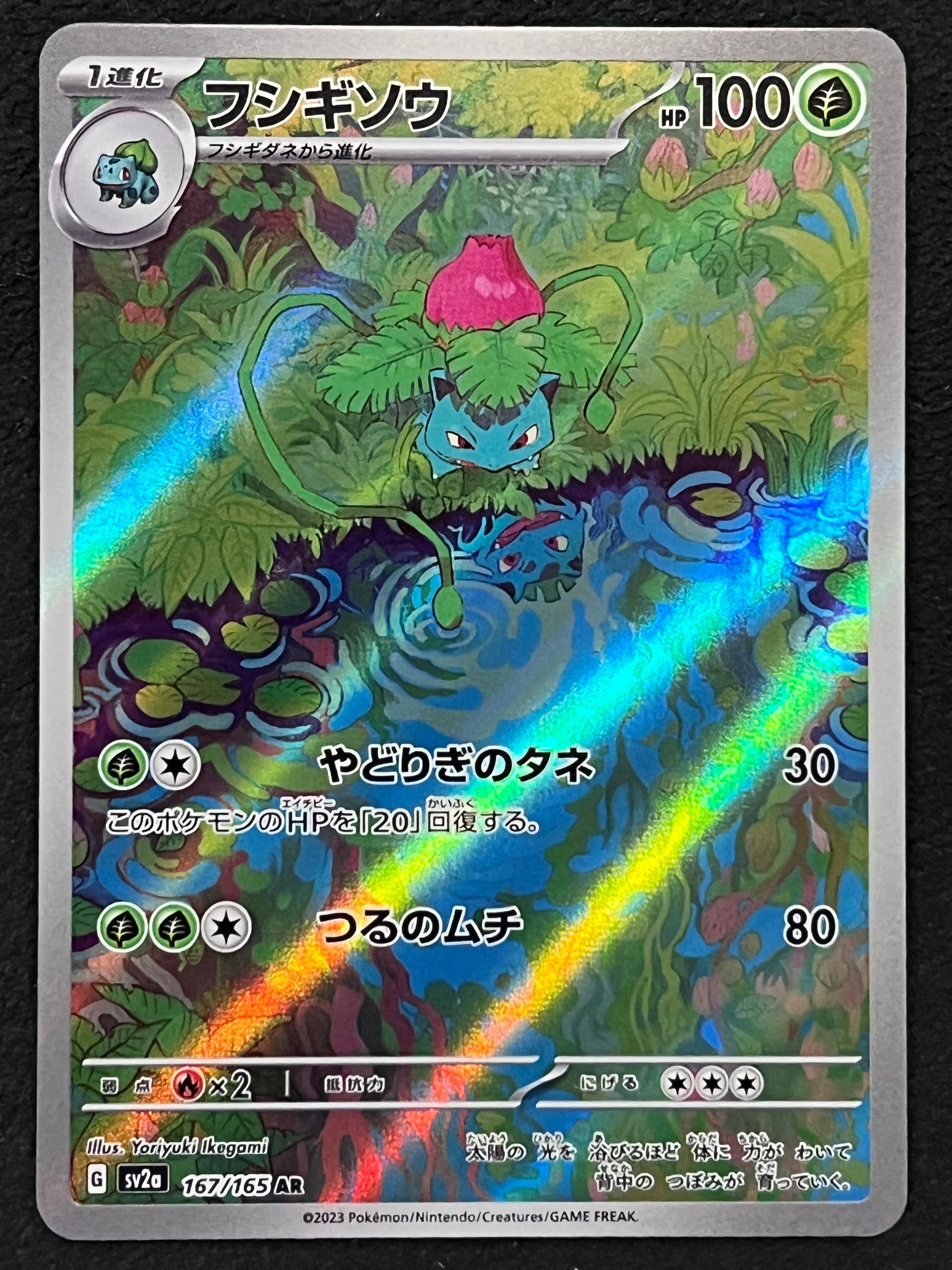 Ivysaur AR 167/165 Pokemon Card 151, Japanese SV2a Scarlet & Violet, Full Art Ivysaur AR 167/165 Pokemon Card 151, Japanese SV2a Scarlet & Violet, Full Art