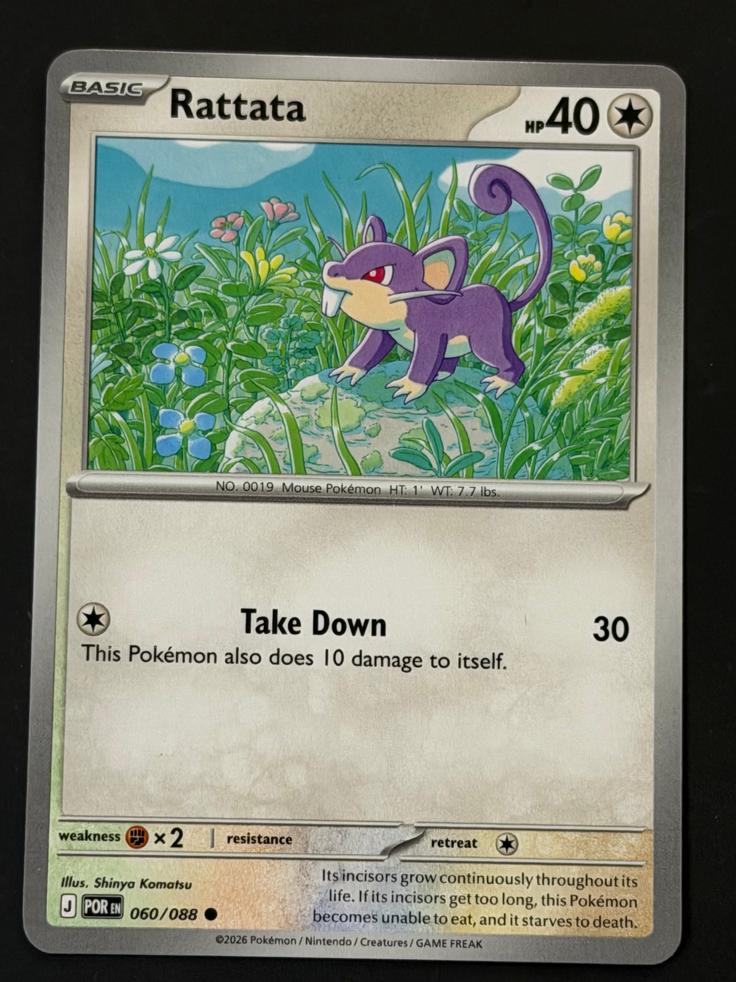 060/088 Rattata - Pokémon Perfect Order Common