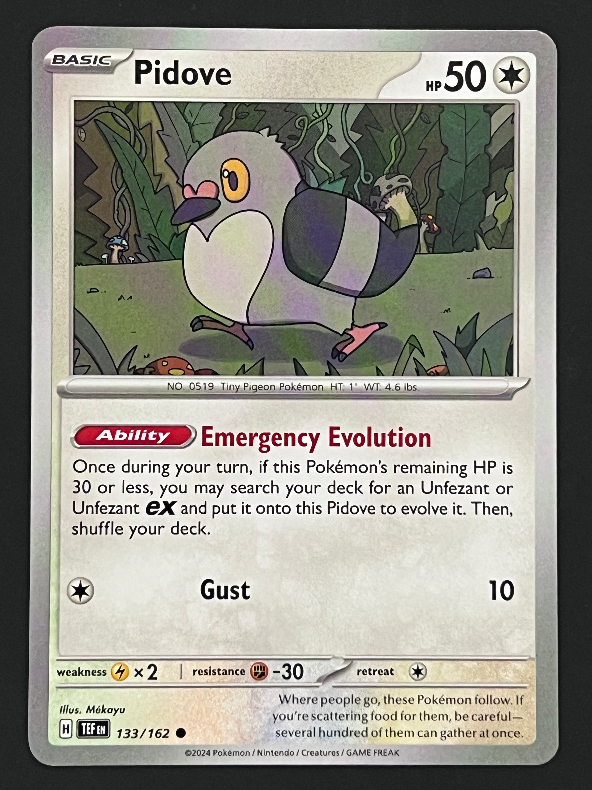 133/162 Pidove