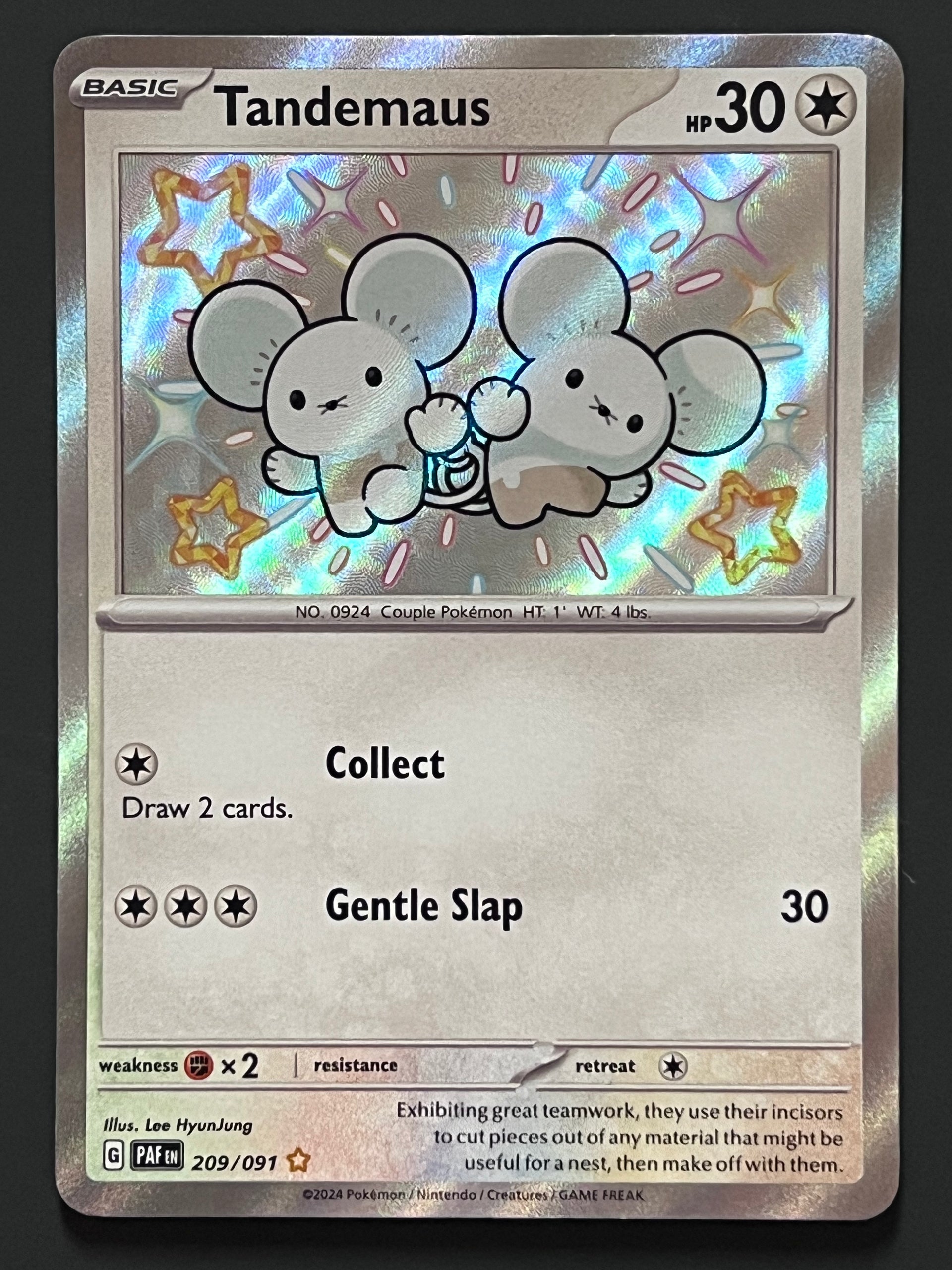 tandemaus pokemon card Amazon.com: Pokemon