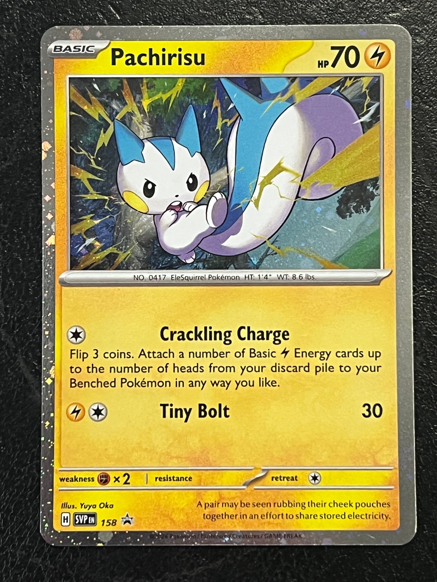 SVP158 Pachirisu - Black Star Promo