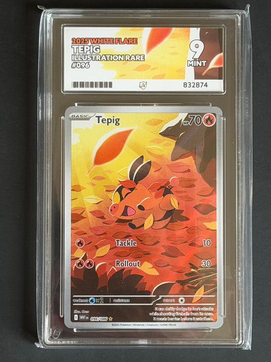 ACE Tepig - 096/086 White Flare Illustration Rare MINT Grade 9