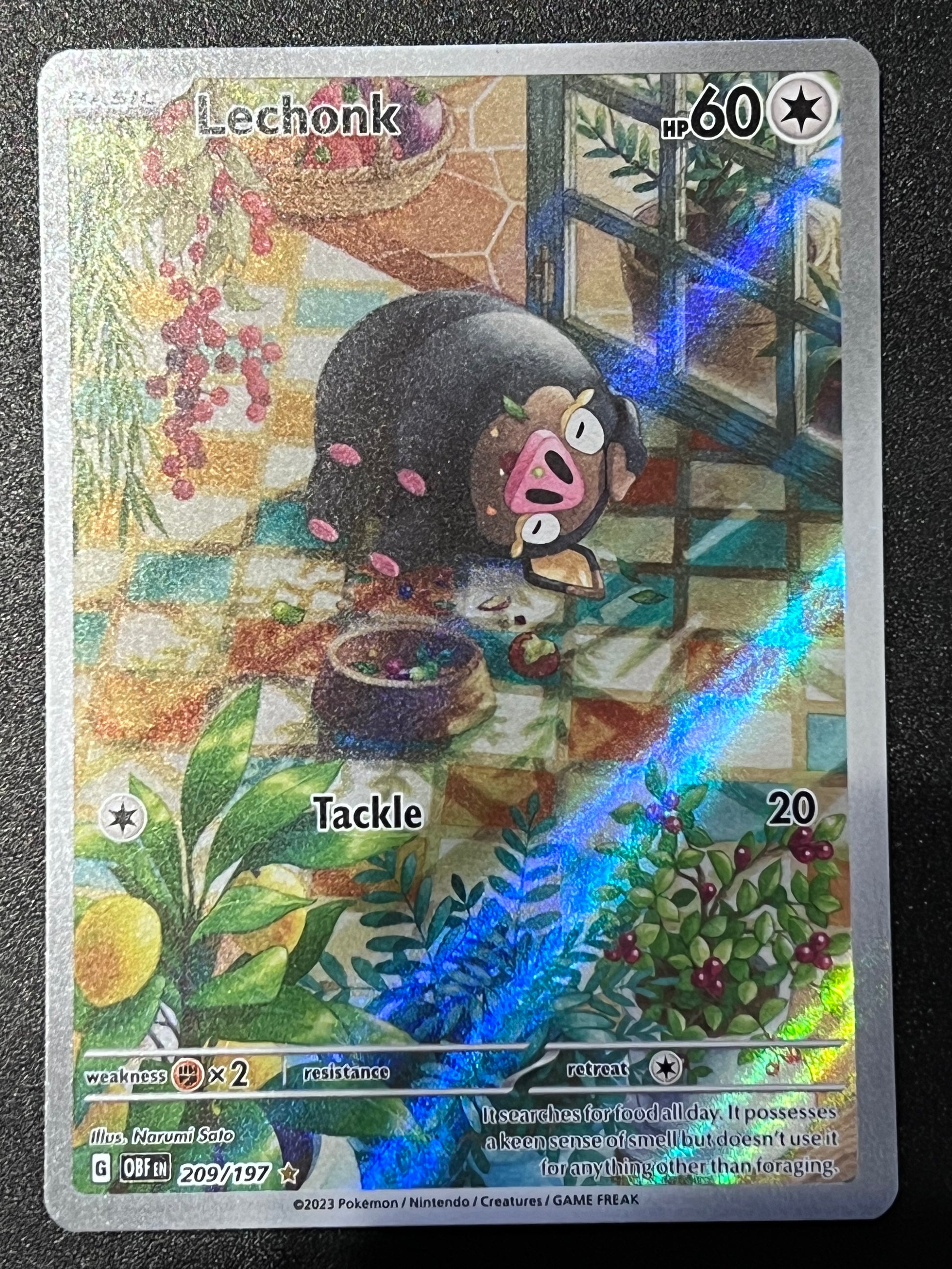 lechonk pokemon cards 209/197 Lechonk