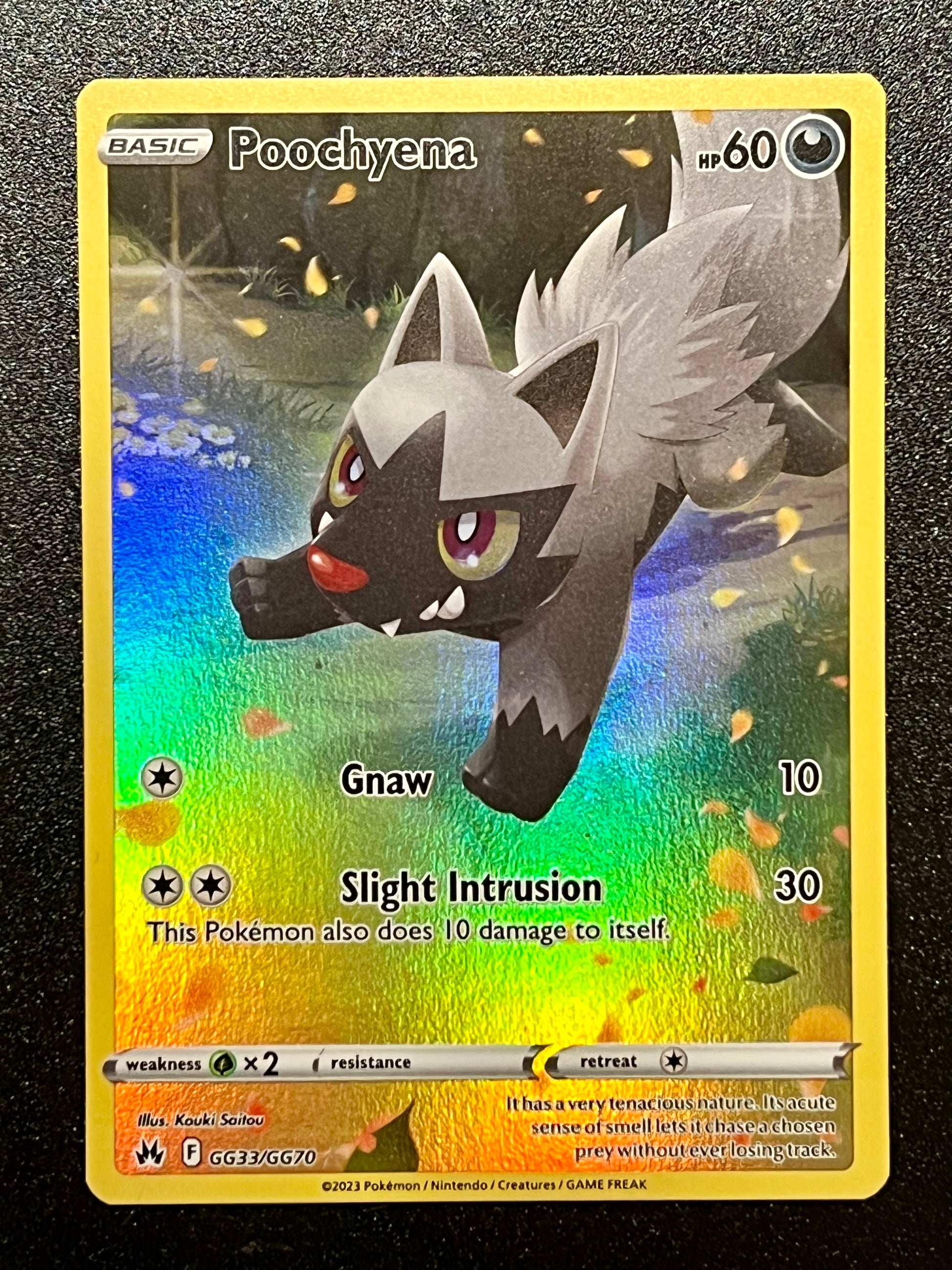 GG33/GG70 Poochyena - Pokmon Crown Zenith Holo Rare Jarvvos GG33/GG70 Poochyena - Pokmon Crown Zenith Holo Rare Jarvvos